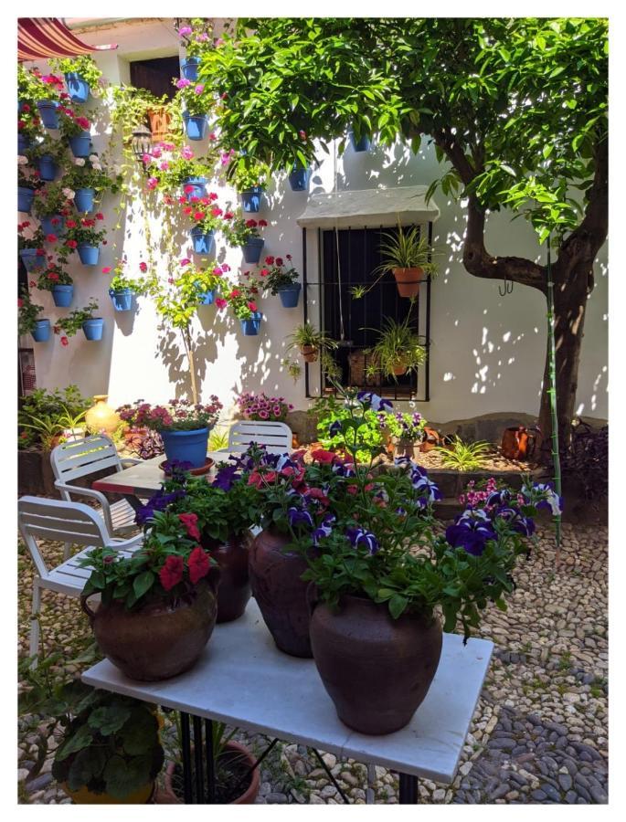 Casa Rural "Laplaza23" Herrera del Duque Bagian luar foto