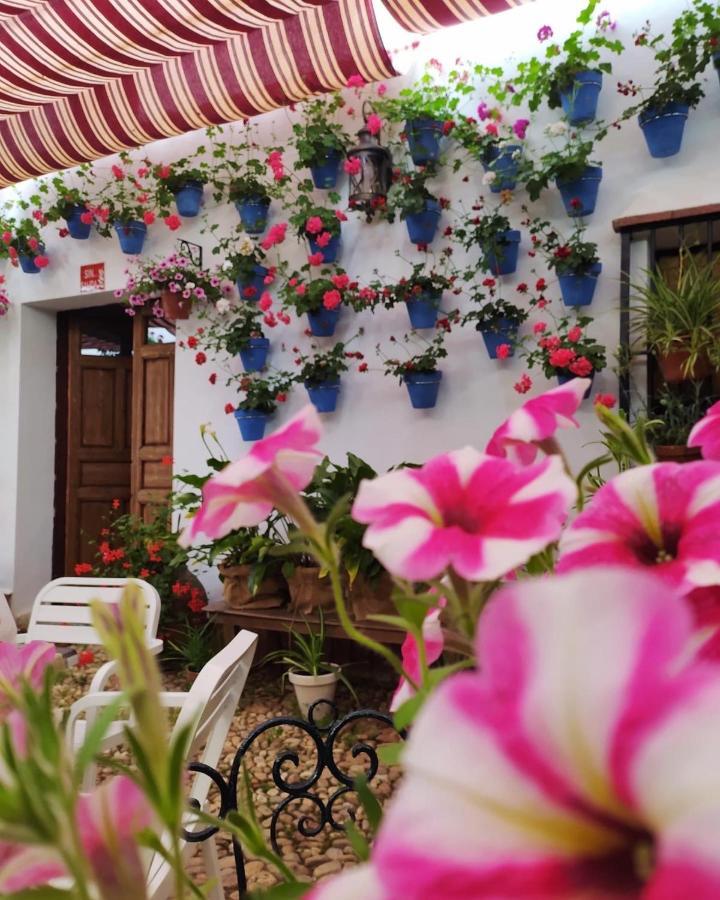 Casa Rural "Laplaza23" Herrera del Duque Bagian luar foto